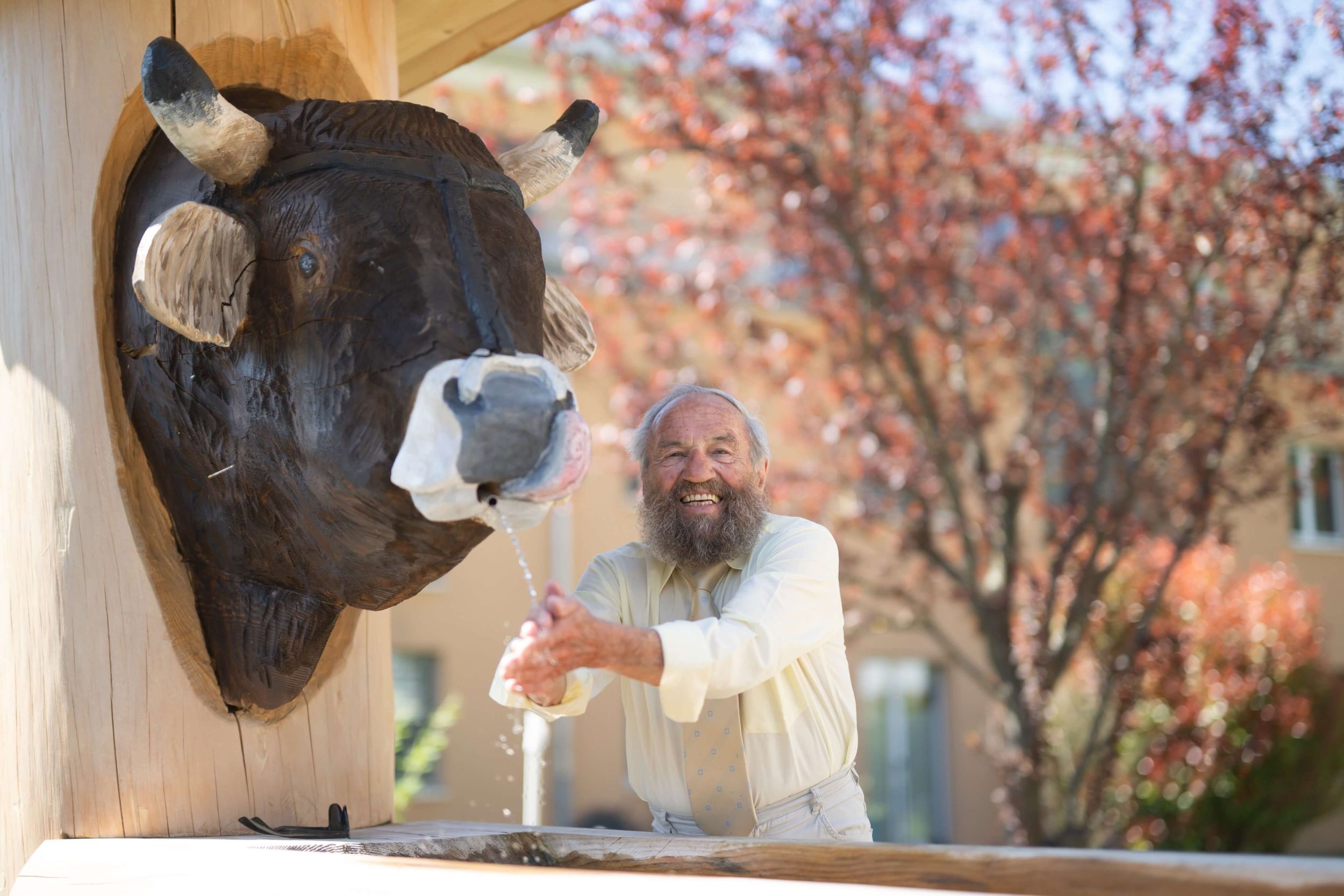 Auswahl Bildmaterial Heimet divers